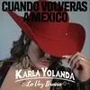 About Cuando Volveras A Mexico Song