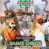 About BAJAKE CHIMTA NACHE NATH Song