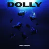 About Dolly Song
