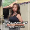 About DJ MANA Song