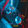 About DJ Luluh - Inst Song