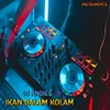 DJ Ikan Dalam Kolam - Inst