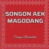 About Songon Aek Magodang Song