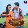 About Dili Dhoka Tui Dili Re Song