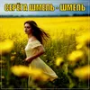 About Шмель Song