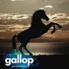 About Gallop Song
