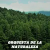 About Orquesta de la Naturaleza Song