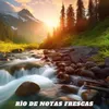 Río de Notas Frescas