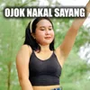 About Ojok Nakal Sayang Song