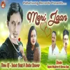 About Meri Jaan Song