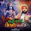 About Maro Vhalo Krishn Lage Chhe Song