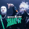 About Shake It Song