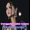 Trenggalek Saksi Tresno