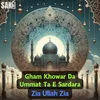 About Gham Khowar Da Ummat Ta E Sardara Song