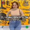 About DJ Jadikan Hanya Aku Satu Satunya - Asmalibrasi - Inst Song