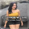 DJ Sayangmu Saiki Wes Sudo Opo Mergo Wes Ono Sing Liyo -inst
