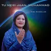 About Tu Meri Jaan, Muhammad Song