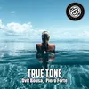 About True Tone Song
