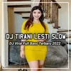 DJ Lelah Ku Sembunyi Di Balik Senyum Ku - Tirani Lesti KDRT