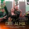 About A Un Cariño Del Alma Song