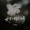 About 爱等不到花儿开 Song