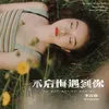 About 不后悔遇到你 Song