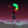 About Ce Mai Vrei? Song