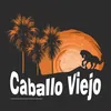 CABALLO VIEJO