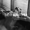 About Твоя нагота Song