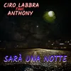 About Sarà una notte Song