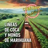 Líneas de coca y moños de marihuana