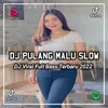 About DJ Pulang Malu Tak Pulang Rindu Versi Tukang Bakso - Inst Song