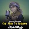 Che Allah Ta Wajaroo