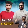 About Pahari Mashup Song