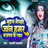 About Bhuil Gelahi Jaan Hamar Bachapan Ke Pyar Song