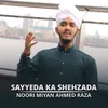 Sayyeda Ka Shehzada