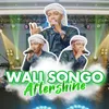 About Wali Songo Song