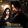 About Meghua Song