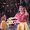 About ទៅណាក៏ឮគេចាក់បាស់ Song