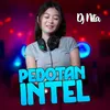 Pedotan Intel