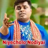About Niyecholo Nodiyai Song