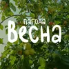 About весна Song