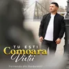 Tu Ești Comoara Vietii