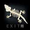 About exit Song