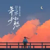 About 年少不知愁 Song