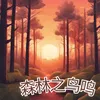 About 森林之鸟鸣 Song