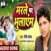 About Marle Par Bhulayem Song