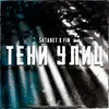 About Тени улиц (tik-tok) Song