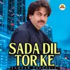 About Sada Dil Tor Ke Song