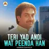 About Teri Yad Andi Wat Peenda Han Song